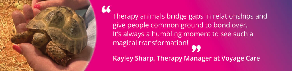 A photo of Zeus, our tortoise at John Cabot House. Text reads: "Therapy animals bridge gaps in relationships and give people common ground to bond over. It's always a humbling moment to see such a magical transformation!" - Kayley Sharp, Therapies Manager. 